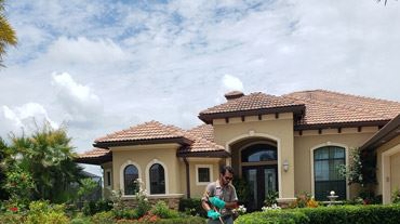 Ornamentals Spraying Photo