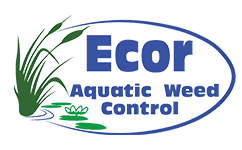 Ecor Aquatic Weed Control