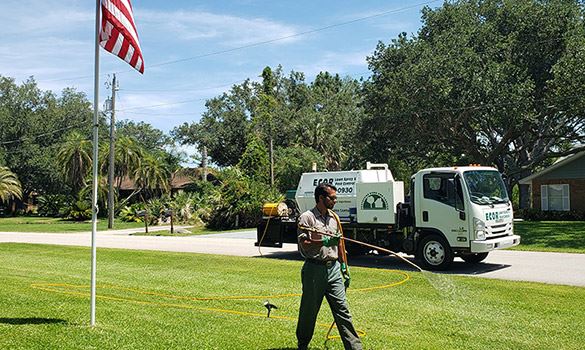 Man watering the lawn